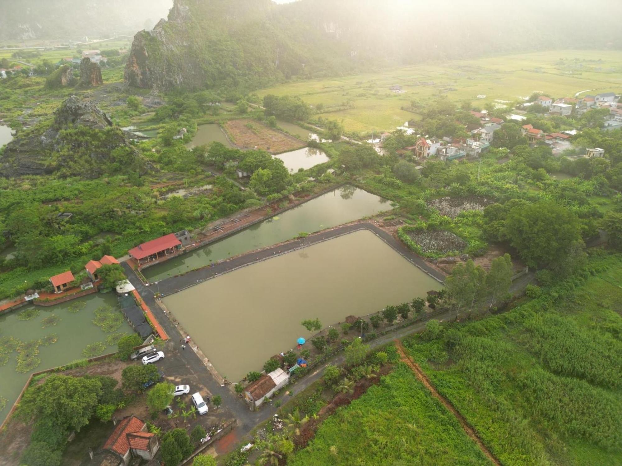 Tam Coc Cat Luong Homestay Ninh Binh Bagian luar foto