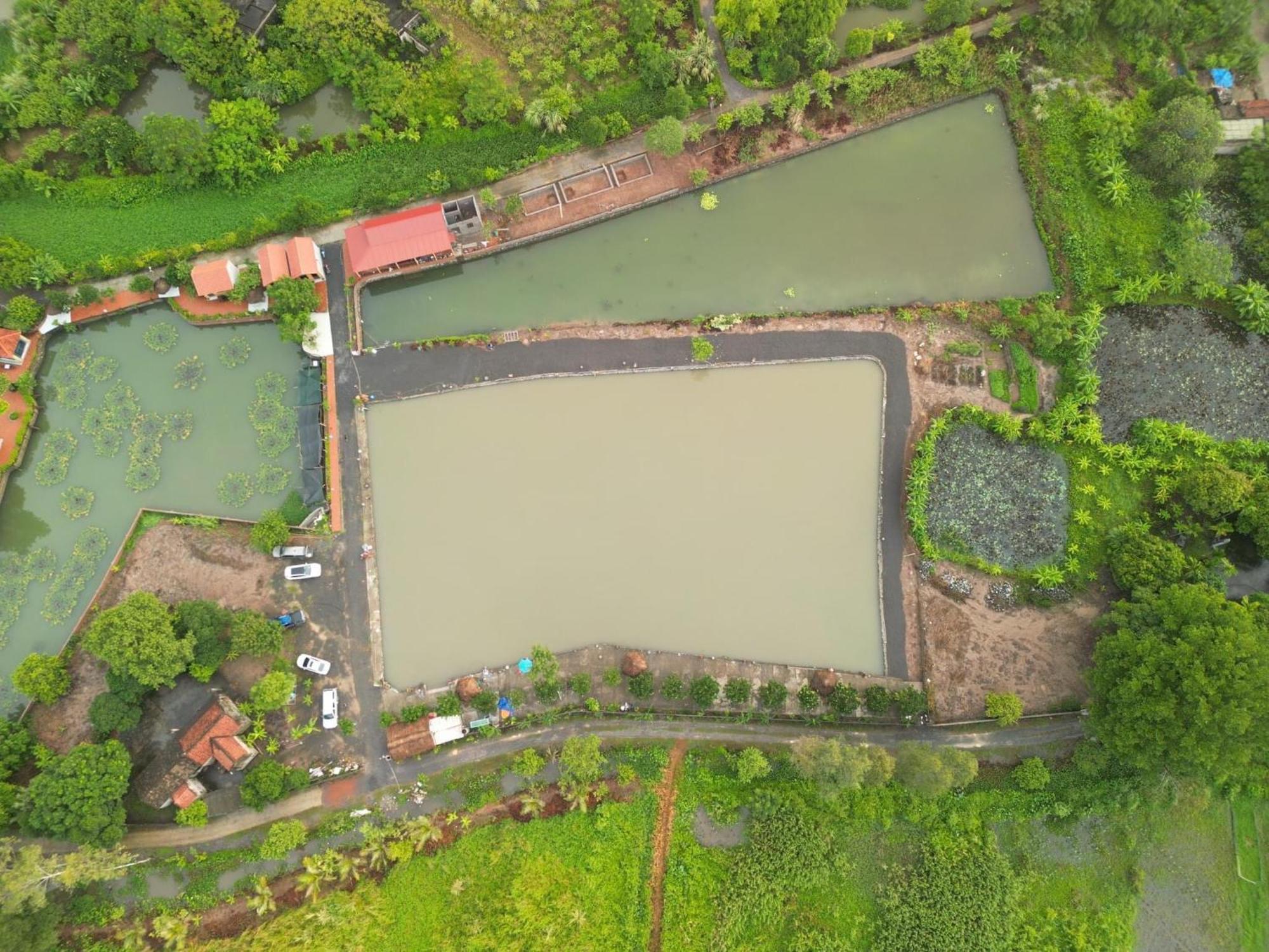 Tam Coc Cat Luong Homestay Ninh Binh Bagian luar foto
